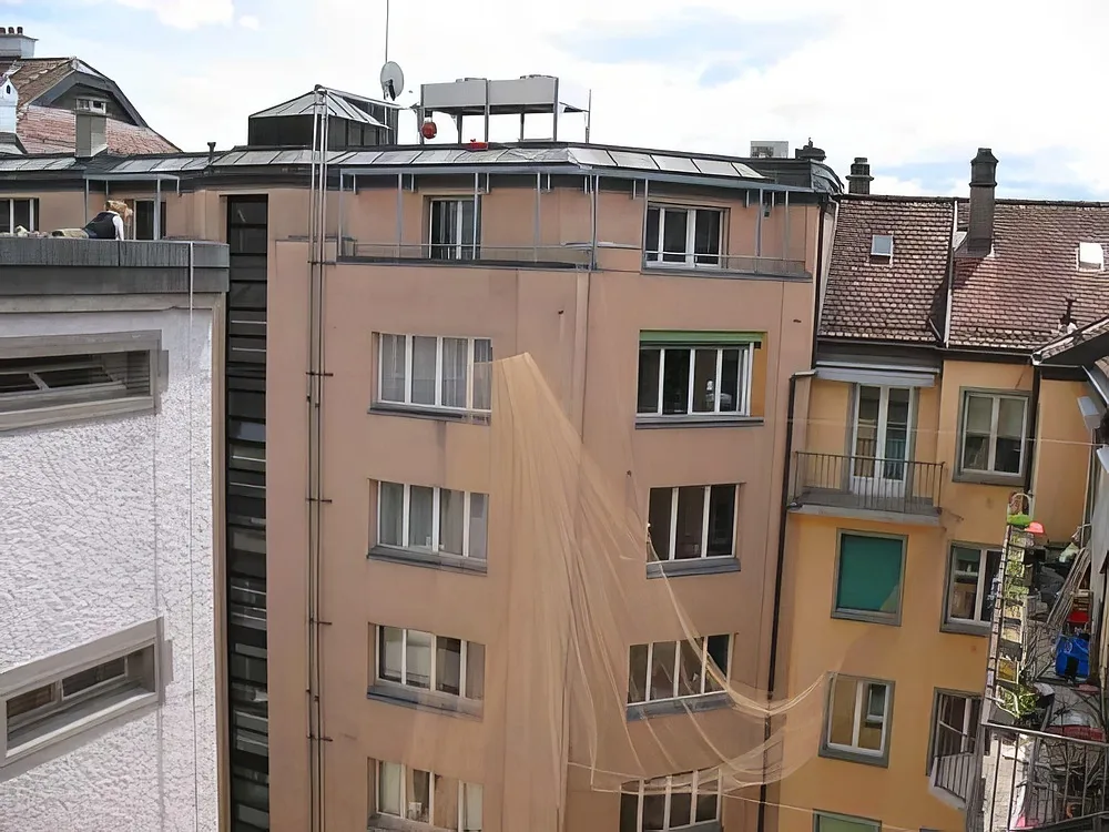 Anti-pigeons