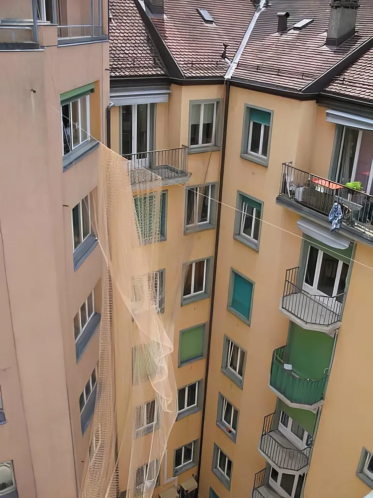 Anti-pigeons
