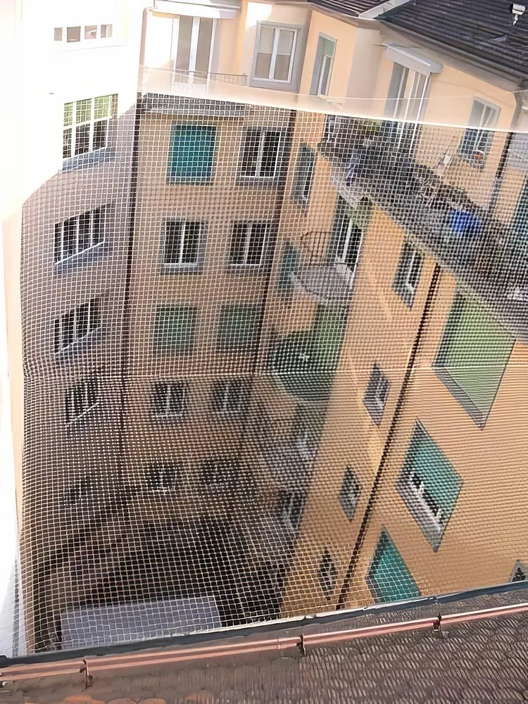 Anti-pigeons