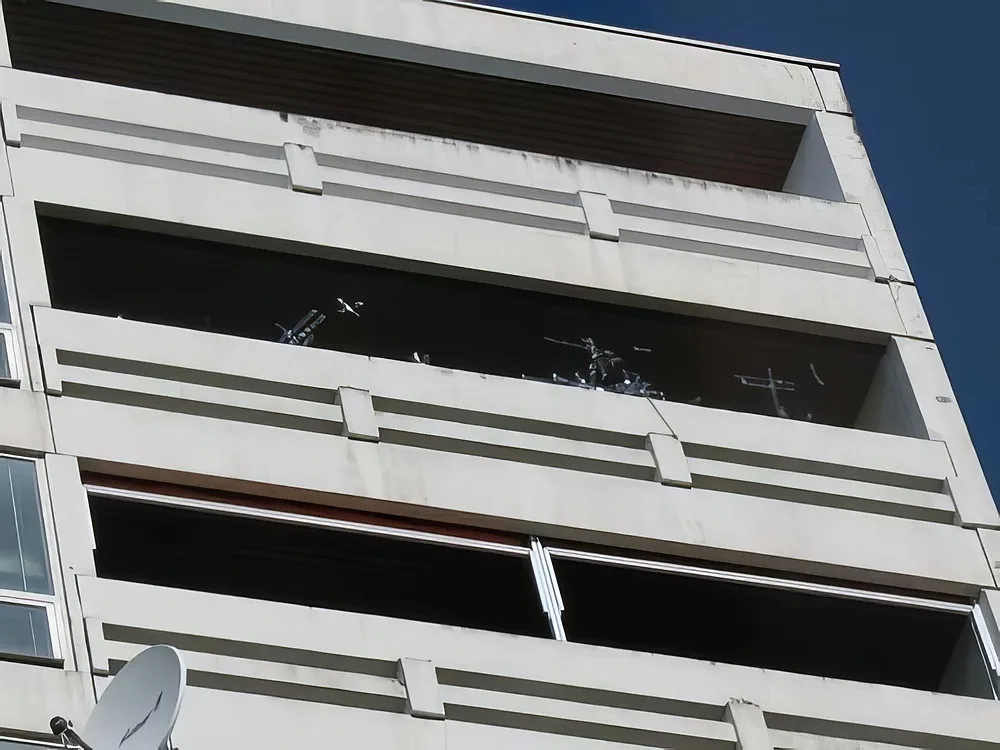 Anti-pigeons