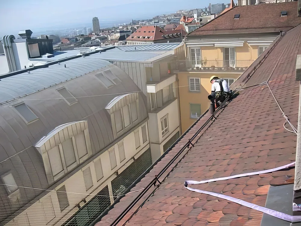 Anti-pigeons