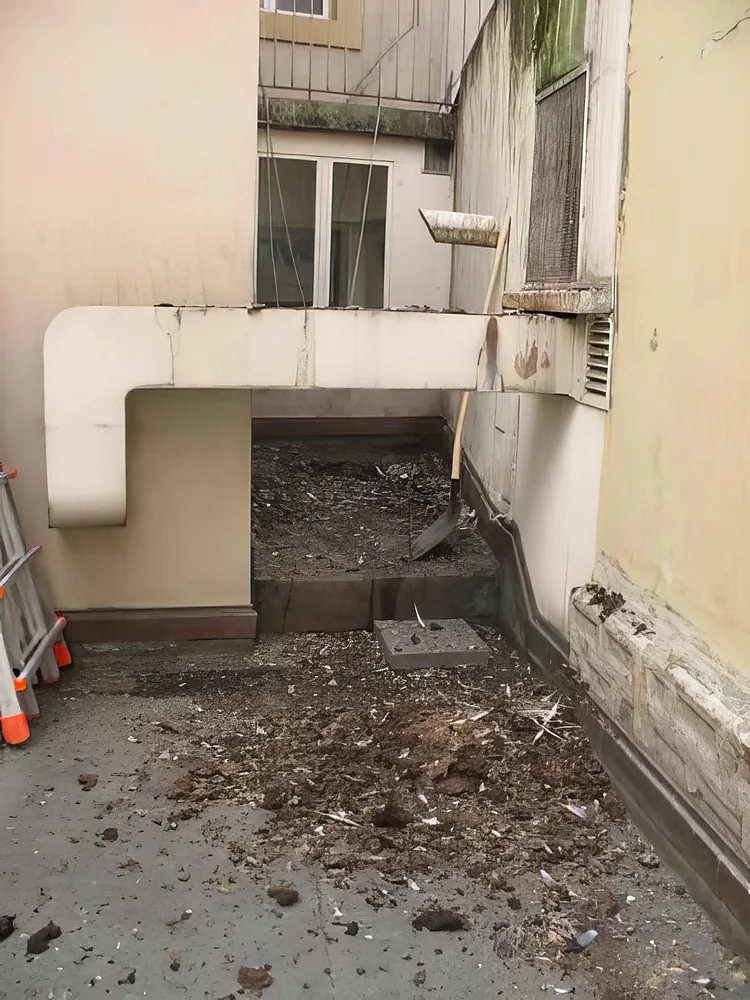Anti-pigeons