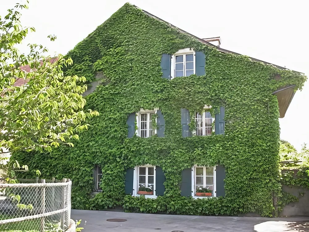 Travaux sur cordes