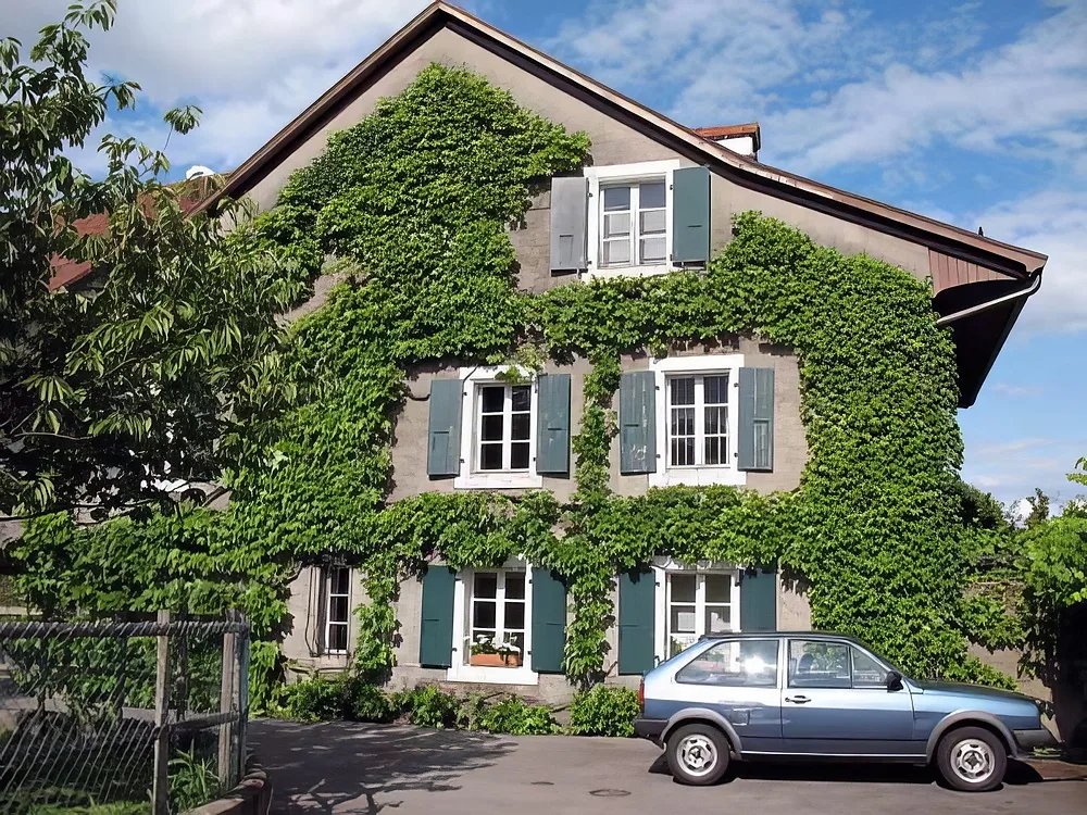 Travaux sur cordes